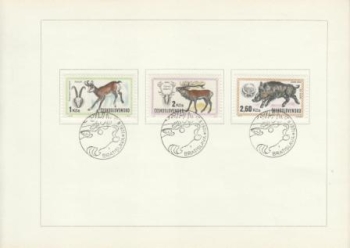 NL 1902 / 1907 ● - 1971